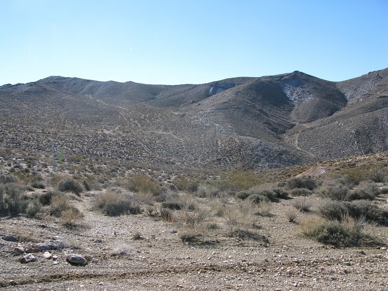 IMG_3728.JPG - Lots of spur trails you can choose from here.