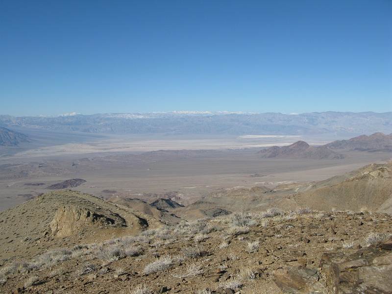 IMG_3737.JPG