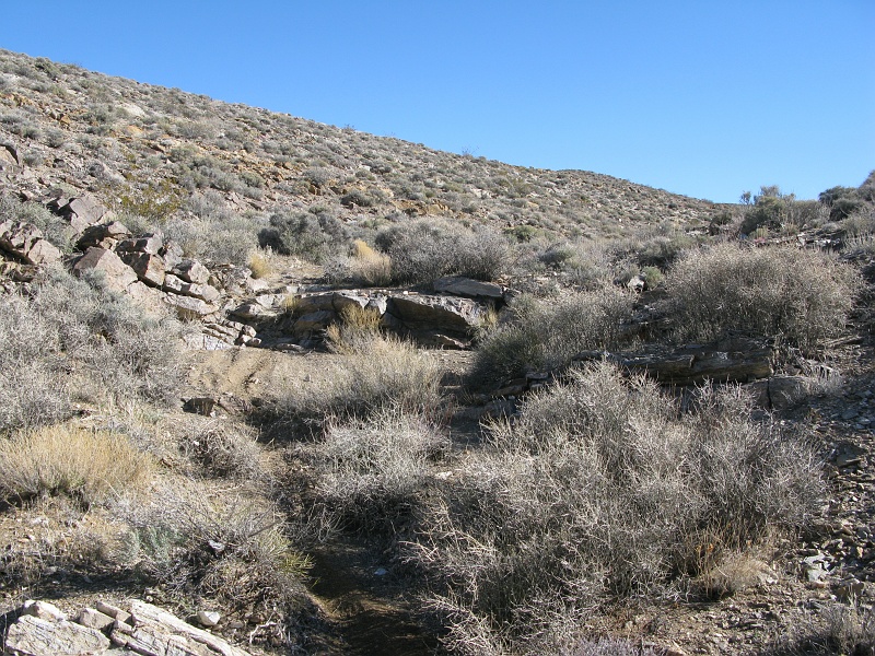 IMG_3742.JPG - Like having to turn around and surmount an18" stair step in the middle of your path.