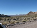 IMG_3722