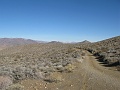 IMG_3725