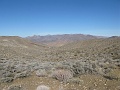 IMG_3726