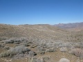 IMG_3727