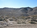 IMG_3728