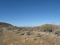 IMG_3729