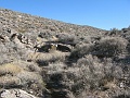 IMG_3742