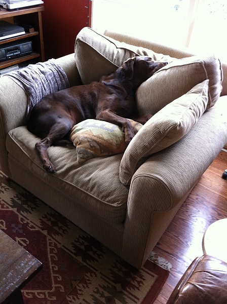 IMG_0383.JPG - Comfy.