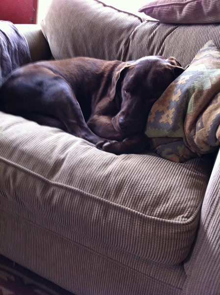 IMG_0392.JPG - Different day. Same comfy.