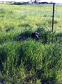 IMG_0395