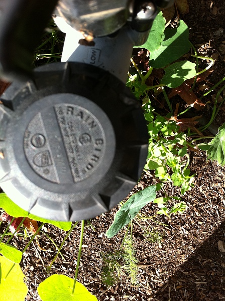 IMG_0415.JPG - There's a slight constant running water sound coming from in this valve.