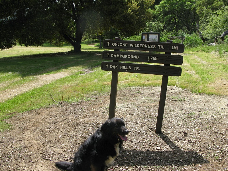 IMG_3773.JPG - Way too fidgety to get a nice shot of both dogs at the sign.
