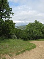 IMG_3775