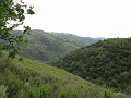 IMG_3776