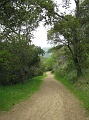 IMG_3782