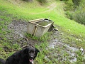 IMG_3787