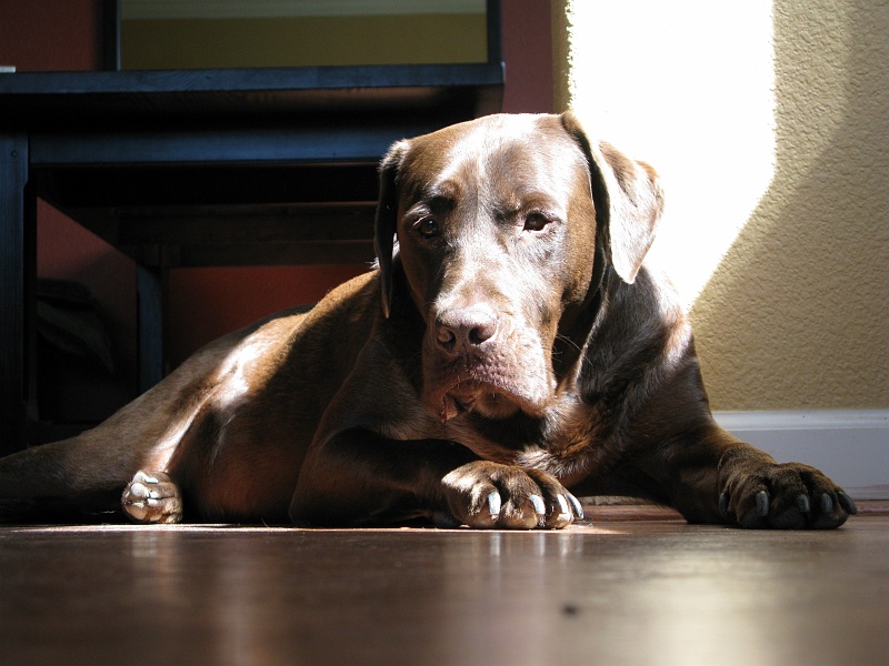IMG_3831.JPG - Pondering.