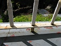 IMG_3844