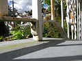 IMG_3846