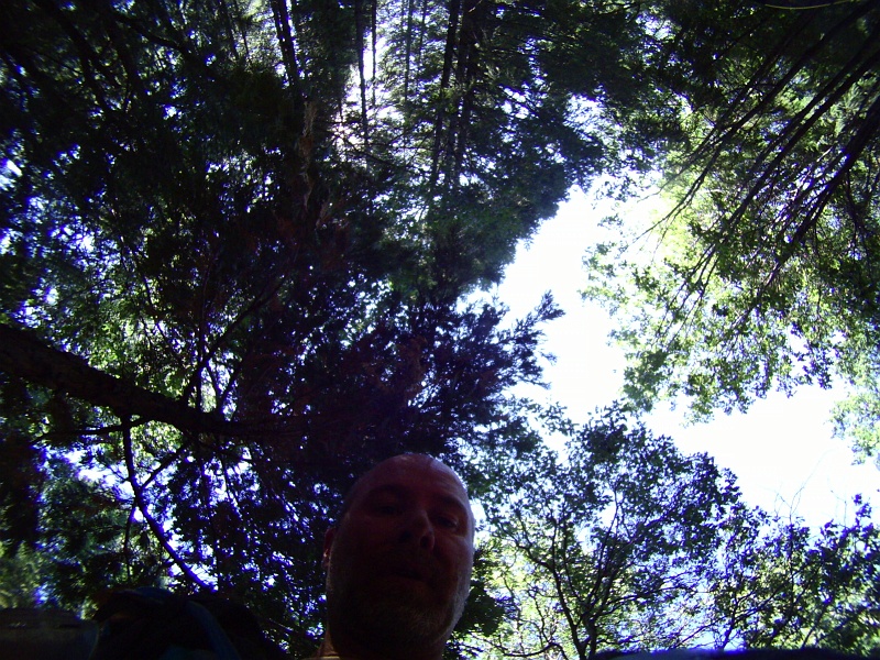 PICT0598.JPG - My dirty face is always the last shot on the helmet cam.