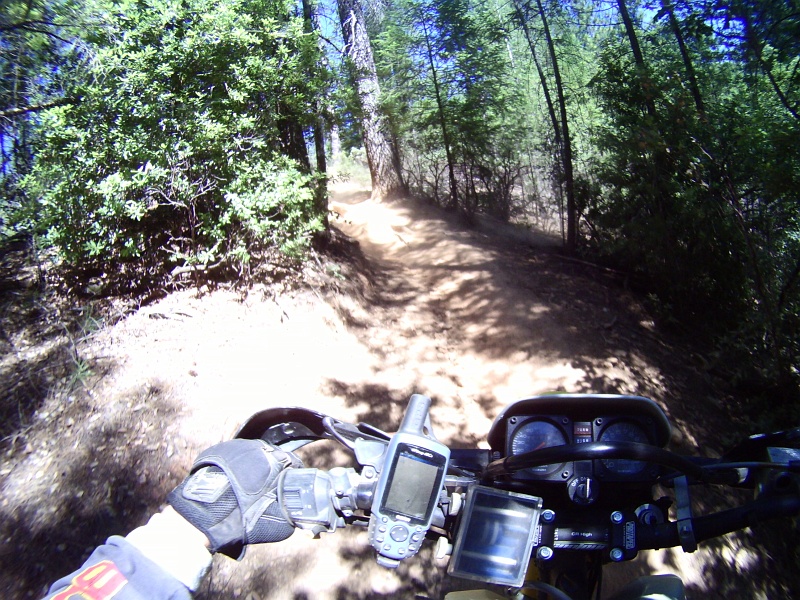 PICT0812.JPG