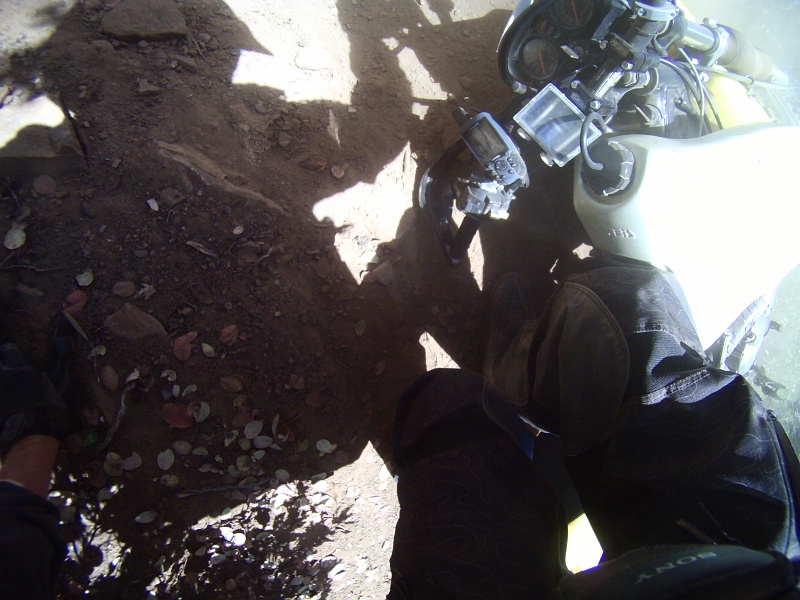 PICT1303.JPG