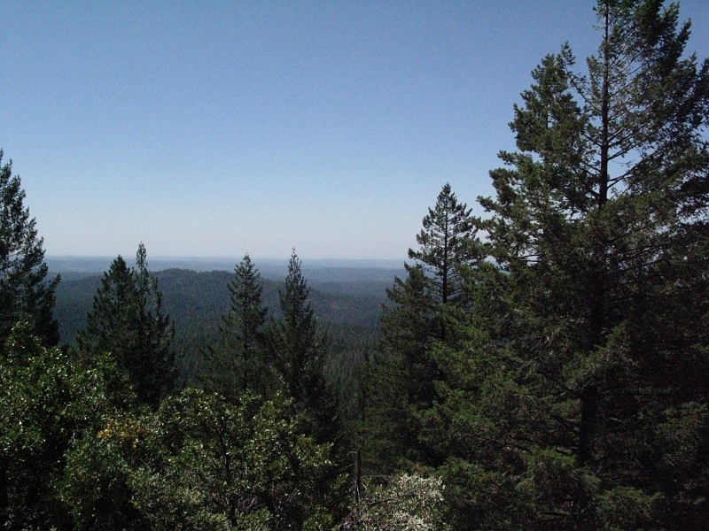 IMG_3887.JPG