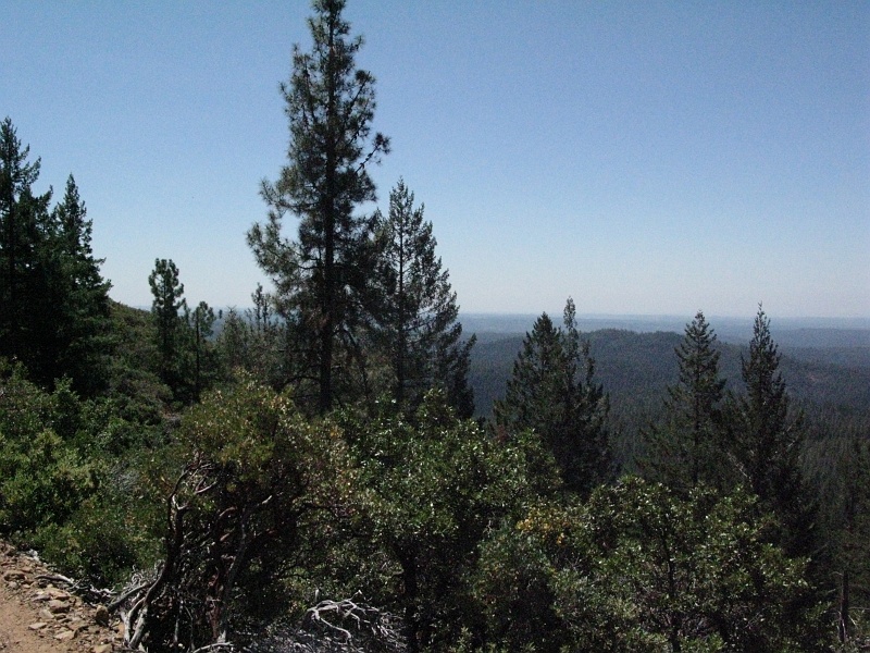 IMG_3888.JPG