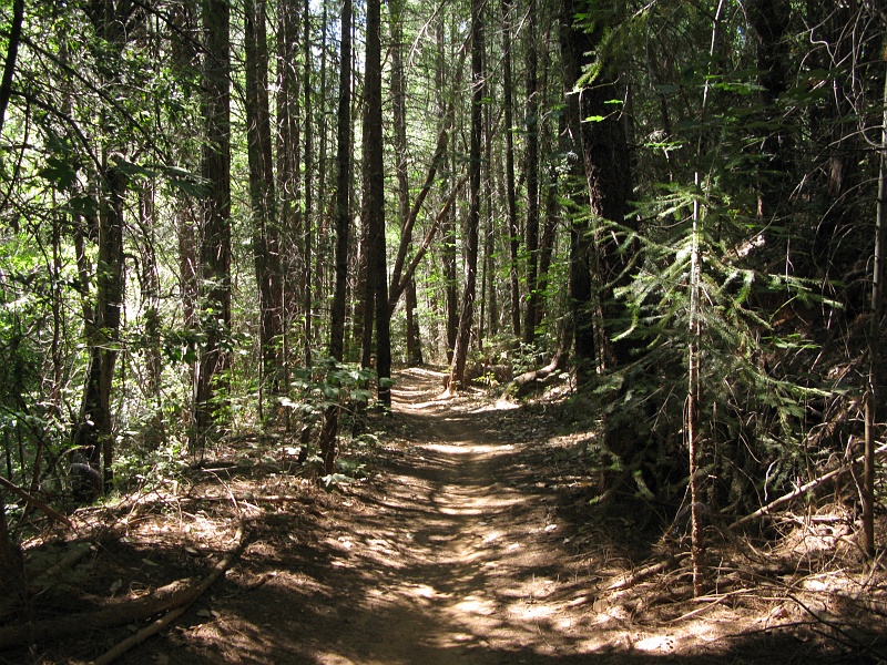 IMG_3894.JPG - Every so often on the trail, a spot feels just right.