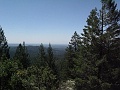IMG_3887