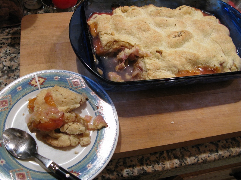 IMG_3911.JPG - Peach-Rhubarb cobbler. I recommend it. Some ice cream on the side would not be a terrible idea. Or maybe your favorite cup of caffeine delivery system.