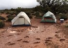 IMG 3748  Winners, worst tent sites.