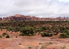 IMG 3790