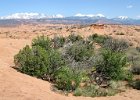 IMG 5074