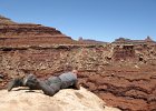 IMG 5153