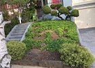 front_yard