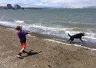 IMG 8191