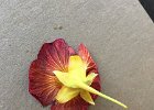 IMG 8368