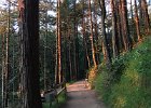 IMG 8467