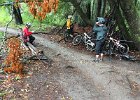 IMG 8841