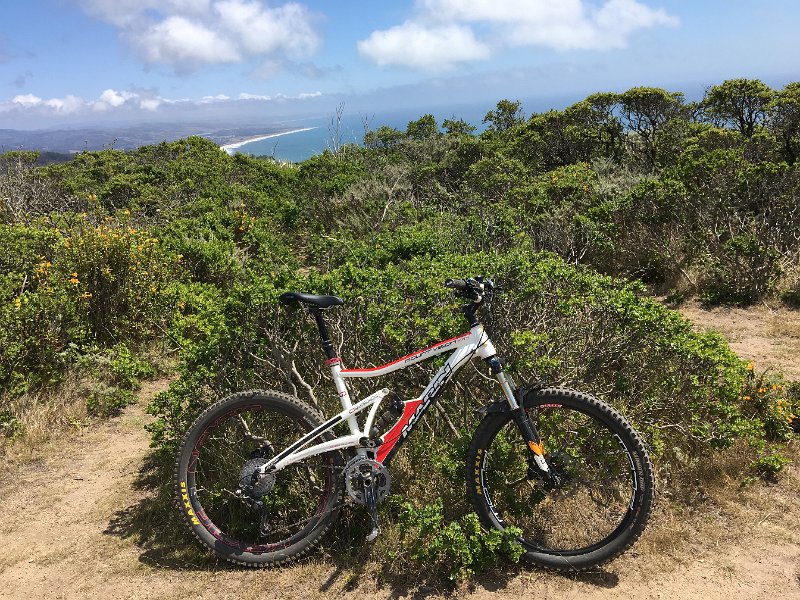IMG 9010