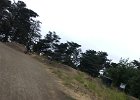 IMG 9342