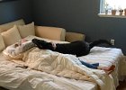 IMG 9568