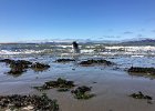 IMG 9591