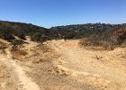 IMG 9773
