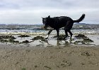 IMG 0095