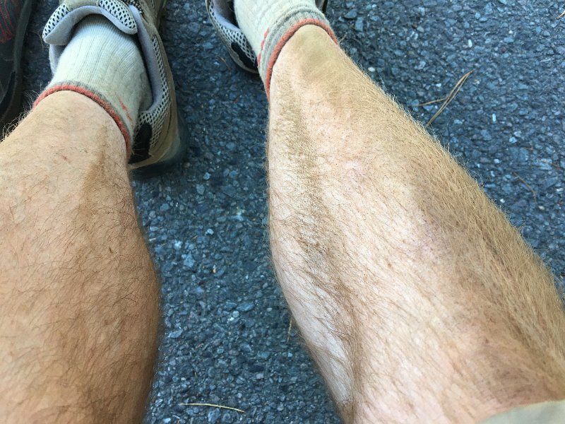IMG 0113