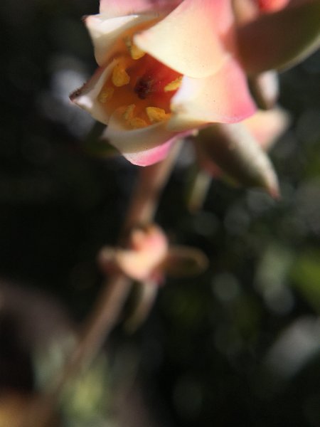 IMG 0201