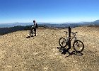 IMG 0245