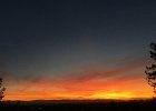 IMG 0457