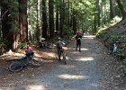 IMG 0486